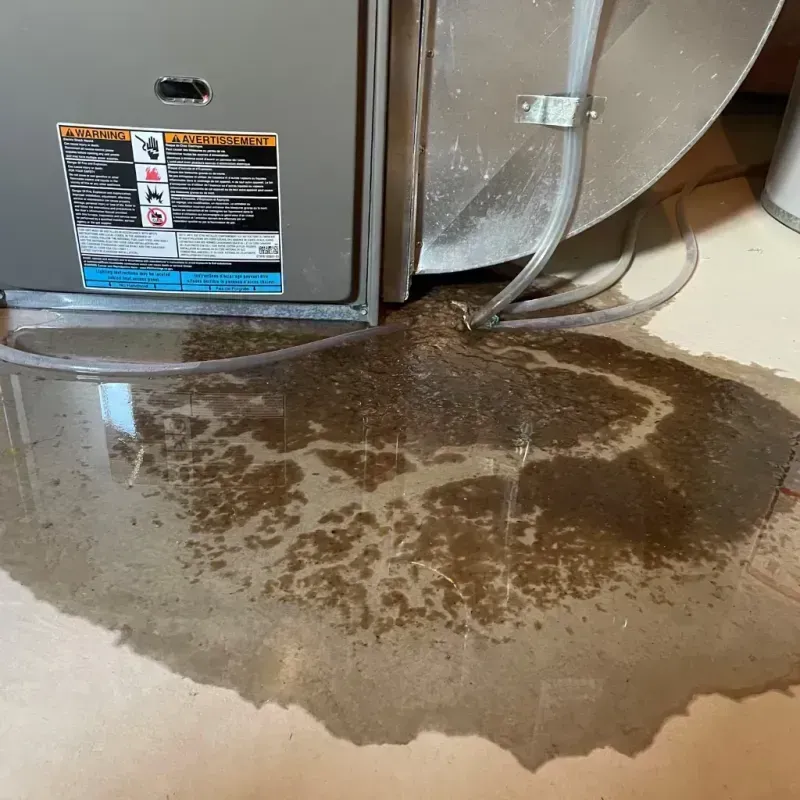 Appliance Leak Cleanup in Narrows, VA